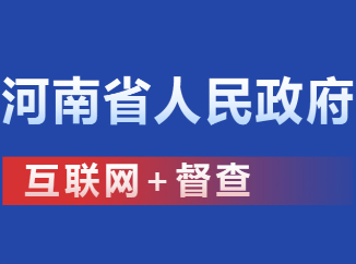 河南省人民政府互聯(lián)網(wǎng)+督察